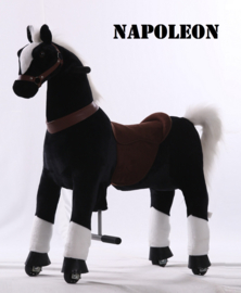 Kids-Horse "Napoleon"  zwart, witte bles en witte  hoef, voor kids van 4-9 jaar.  (TB-2003M)