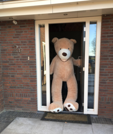 Grote Knuffelbeer "Eduard" XXXL 260cm lichtbruin - TB-2021EXXL260LB