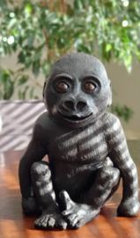 ZIE MIJ | Sasha het Gorilaatje