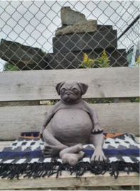 ZIE MIJ | Luuk het Bulletje