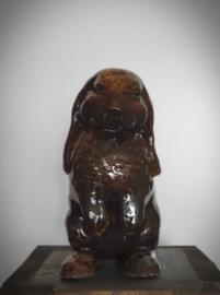 ZIE MIJ | Toby het Konijntje