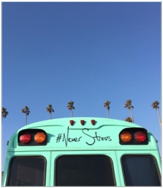 Groene-achterkant-bus-tekst-never-stress-blauwe-lucht-met-palmbomen