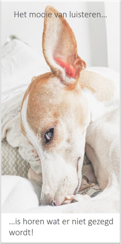 Hond-kijkt-je-aan-met-oor-omhoog-tekst-mooie-van-luisteren..