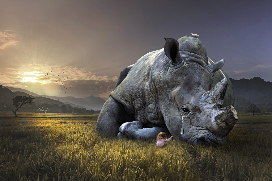 Meisje bij een grote neushoorn als beeld voor steun vragen en troost ontvangen