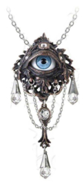 Alchemy Gothic nekketting - Natural Magic - Lore of the Forest - al ziend oog - 10.7 cm hoog