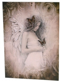 Primrose fairy - kaart van Jessica Galbreth - 18 x 13 cm