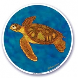 Raamsticker Sea Turtle
