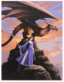 Dragon Sentinel - wandbord van Anne Stokes - 25 x 19 cm