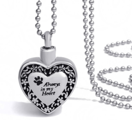 Crematie assieraad nekketting 316 roestvrije staal kat hond Always in my Heart - 3.2 mm hoog 2