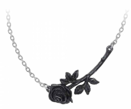 Alchemy Gothic design nekketting - Black Rose Enigma - 4.6 cm breed