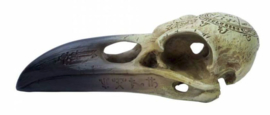 Alchemy of England The Vault - Omega Raven Skull - 16.50 cm lang