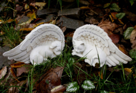Kat grafsteen herinneringsbeeld engel met vleugels - No longer by my side - 17 x 8.5 cm