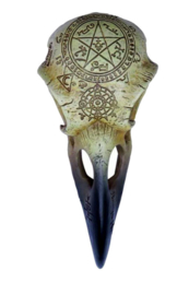 Alchemy of England The Vault - Omega Raven Skull - 16.50 cm lang