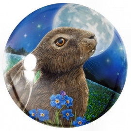 Glazen presse papier Moon Gazing Hare - Lisa Parker - 8 cm doorsnee