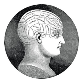 Phrenology - (Frenologie)