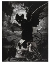 Alchemy England canvas wandbord - Nine lives of Poe - 19 x 25 cm
