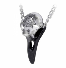 Alchemy Gothic nekketting - Volvan Ravenskull - Viking ravenschedel doodskop - 5.7 cm hoog