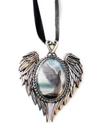 Cameo Anne Stokes Spirit Guide