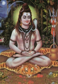 Shiva