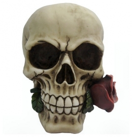 `Rose from the dead` - grote doodskop met een rode roos - 13 cm