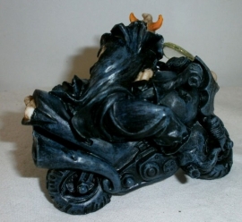 Devil Rider - skelet op motor