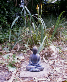 Japanse meditatieboeddha met antieke finish - 19×12×24 cm
