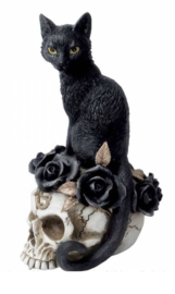 Alchemy of England The Vault - Grimalkin's Ghost - Zwarte kat op doodskop met rozen - 18.5 cm hoog