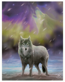 Aurora wolf - wandbord van Anne Stokes - 25 x 19 cm