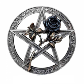 Alchemy of England The Vault - Ruah Vered Wall Mount  Altar Piece - pentagram met roos - 24 cm doorsnee