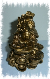 Gouden Feng Shui schildpad met drakenhoofd - 9 cm hoog