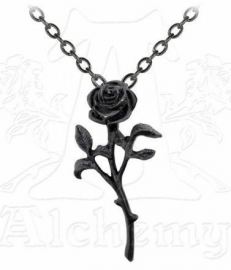 Alchemy Gothic ketting - The Romance of the Black Rose