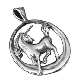 925 Sterling zilveren kettinghanger eenhoorn in cirkel - 2.5 cm doorsnee
