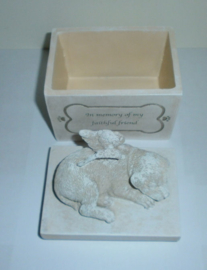 Doos slapende hond met engelenvleugels 12 x 10 x 7 cm