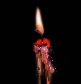 Weeping Rose kaarsen - pak van 4 - 25 cm lang