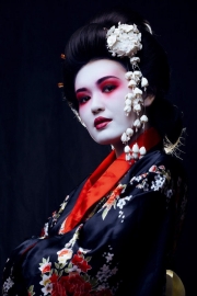 Geisha - Gaiko - Maiko info