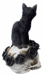 Alchemy of England The Vault - Grimalkin's Ghost - Zwarte kat op doodskop met rozen - 18.5 cm hoog