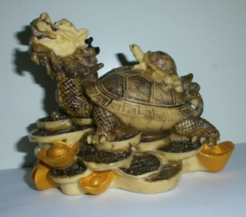 Feng Shui Schildpad met Drakenhoofd 11 x 12 cm