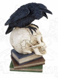 Alchemy of England - Edgar Allan Poe's Raaf op doodskop en boeken - 20 cm hoog