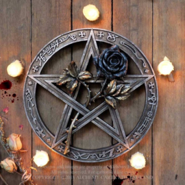 Alchemy of England The Vault - Ruah Vered Wall Mount  Altar Piece - pentagram met roos - 24 cm doorsnee