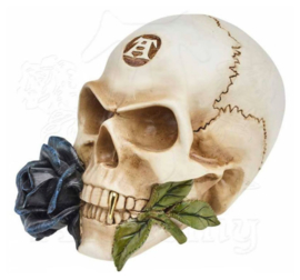 Alchemy of England the Vault - Black Rose Alchemist Skull - doodskop met roos -12.5 cm hoog