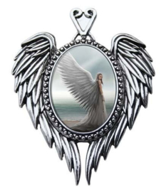 Cameo Anne Stokes Spirit Guide