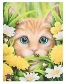 Summer Cat - canvas wandbord - Linda M Jones - 25 x 19 cm