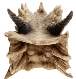 Wierookhouder Draco Skull - Doodskop van draak - 24 cm lang