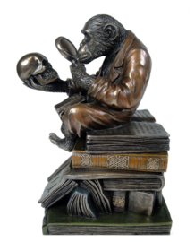 Darwinisme - bronzen beeld sieradendoos - aap met doodskop en vergrootglas - 17.5 cm hoog