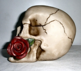 `Rose from the dead` - grote doodskop met een rode roos - 13 cm