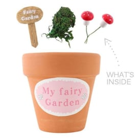 Fairy Garden Starter Kit