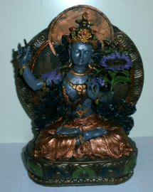 Tara blauwrkleurig met achterblad 21 cm hoog