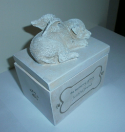 Doos slapende hond met engelenvleugels 12 x 10 x 7 cm