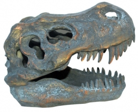 Tyrannosaurus / dinosauriër doodskop - 16 cm