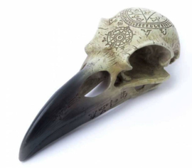 Alchemy of England The Vault - Omega Raven Skull - 16.50 cm lang